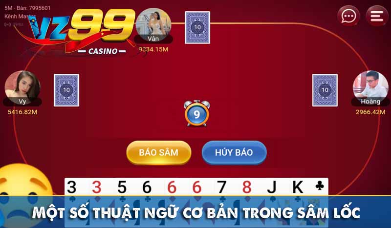 Một số thuật ngữ cơ bản trong sâm lốc