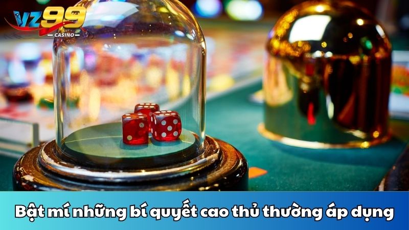 Bật mí những bí quyết cao thủ thường áp dụng