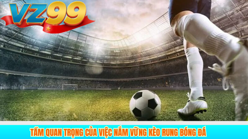 Tầm quan trọng của việc nắm vững kèo rung bóng đá