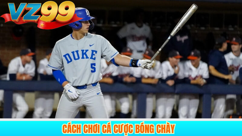 Cách chơi cá cược bóng chày