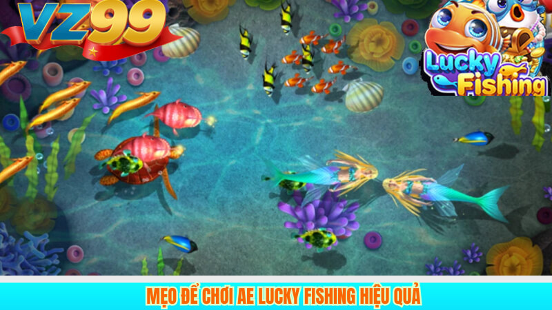 Mẹo để chơi AE Lucky Fishing hiệu quả