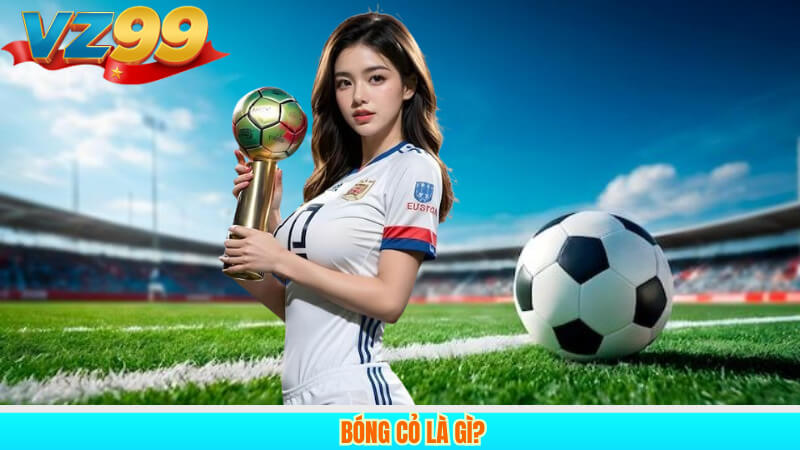 Cá cược bóng cỏ tại VZ99: Kinh nghiệm bí quyết chơi hiệu quả 2 Bóng cỏ là gì?