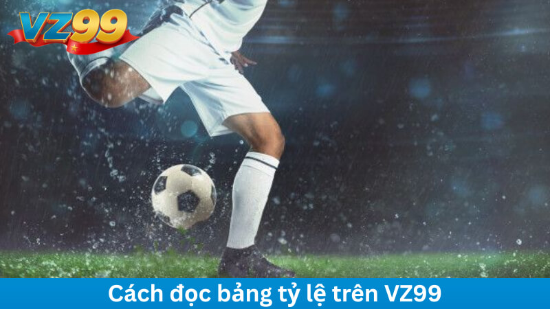 Cách đọc bảng tỷ lệ trên VZ99