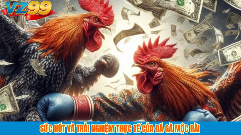 Sức hút và trải nghiệm thực tế của đá gà mộc bài